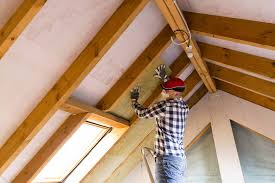 Best Attic Insulation Installation  in Minneola, FL